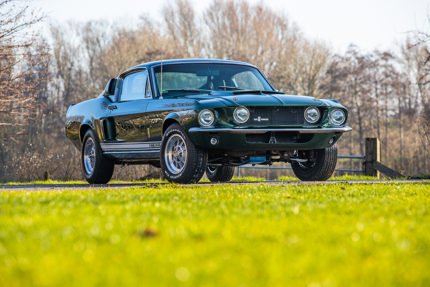 Ford Shelby GT500 (1967)
